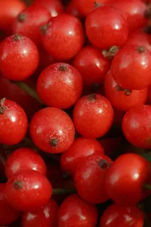 各式背景 932 各式背景 932