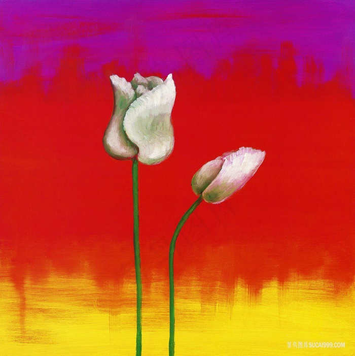 唯美花束百合花装饰画