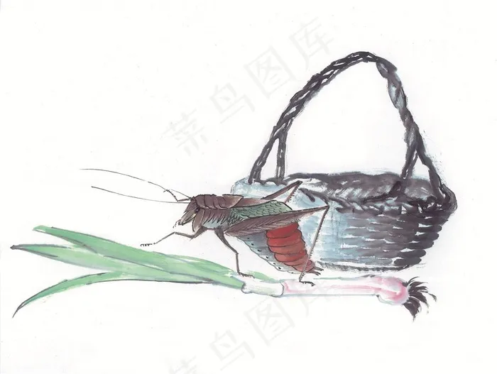 昆虫花草美图摄影图片