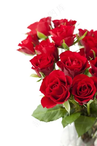 唯美红玫瑰花花束图片