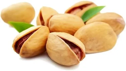 开心果 PNG免抠(443x250)