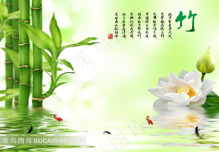 唯美竹子荷花图