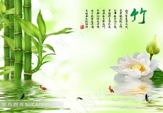 唯美竹子荷花图