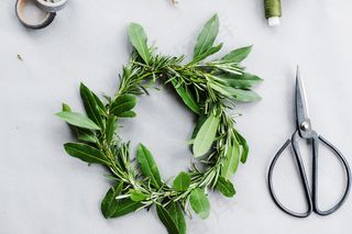 橄榄枝花环图片