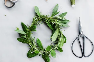 橄榄枝花环图片