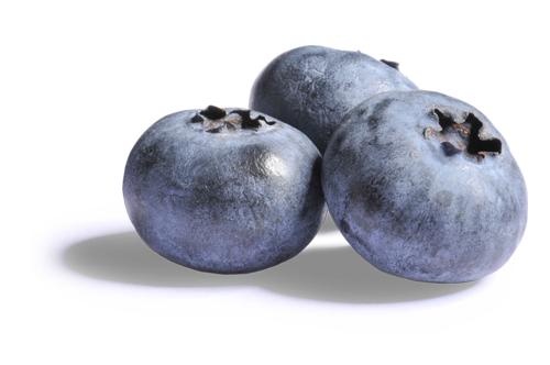 蓝莓 PNG免抠(500x332)