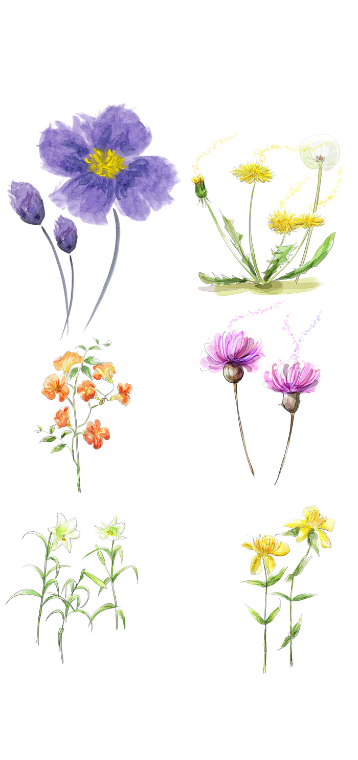 绿色简约风CDR矢量图春季花草植物插画元素psd模版下载