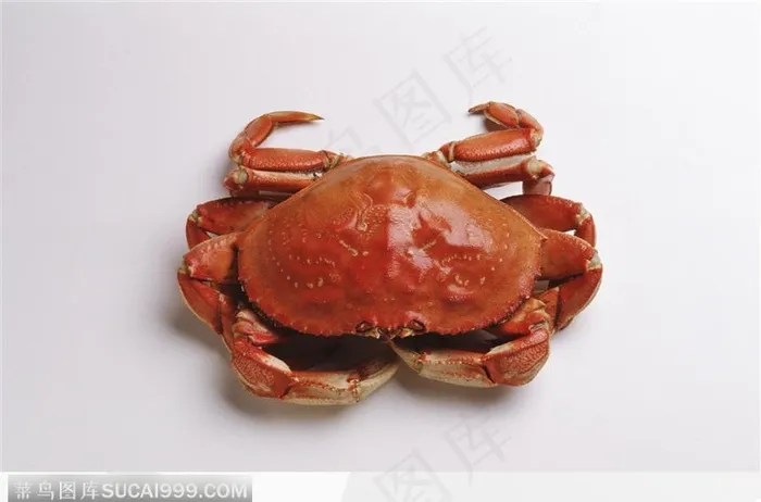 盼着腿的蟹