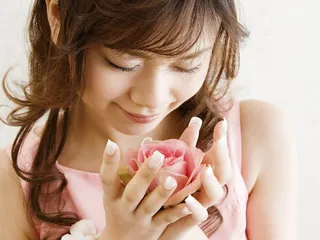 图片设计素材背景鸟语花香