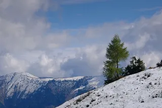 冬天自然背景风景