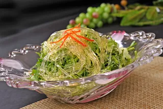 L02270鱼翅赛苦菊 (56会员49