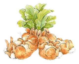 胡萝卜兔子兔年