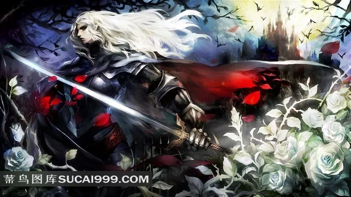 龙之皇冠拿宝剑的武士插画