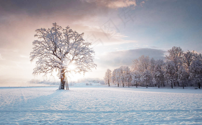 大雪风景图片