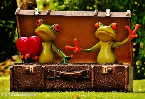 可爱青蛙模型玩具高清图