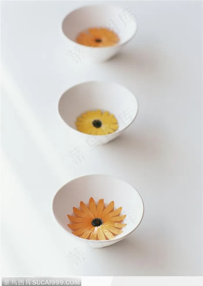 碗中并排摆的菊花