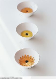 碗中并排摆的菊花