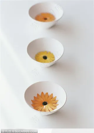 碗中并排摆的菊花