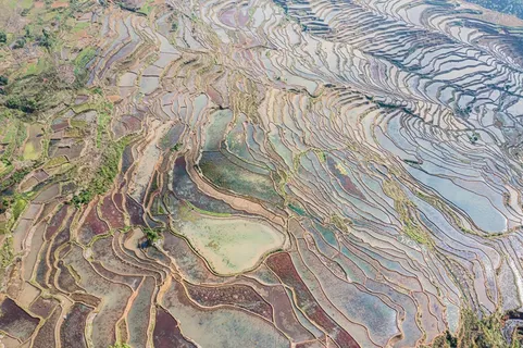 元阳甲寅梯田 元阳甲寅梯田