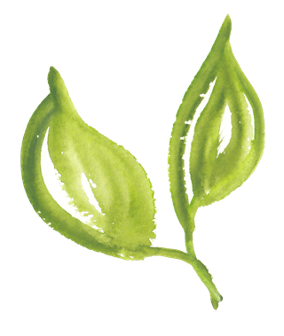 唯美森系手绘水彩花朵 免抠