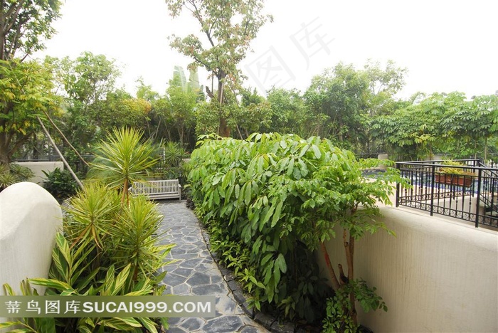 别墅小区绿化小道