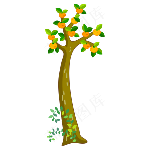 小数植物果实水果树苗