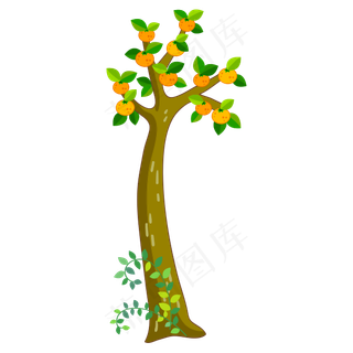 小数植物果实水果树苗