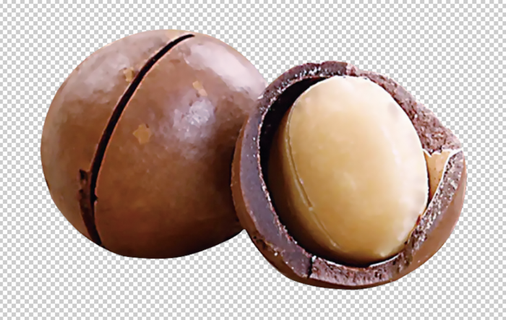 夏威夷果免扣素材