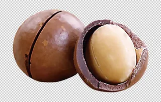 夏威夷果免扣素材