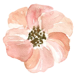 唯美森系手绘水彩花朵 免抠