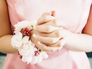 图片设计素材背景鸟语花香