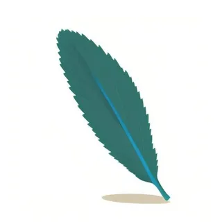 一片树叶png免抠