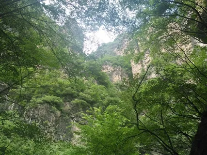 野三坡深谷密林风景图片