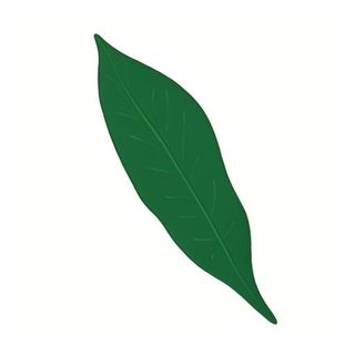 一片树叶png免抠