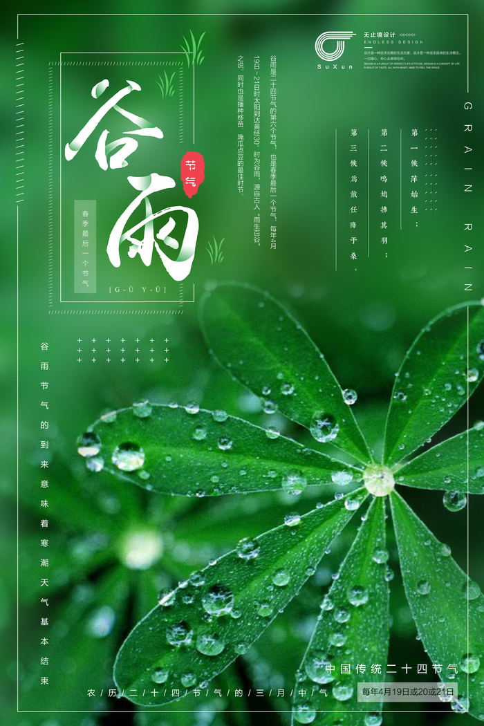 谷雨叶子水滴psd模版下载