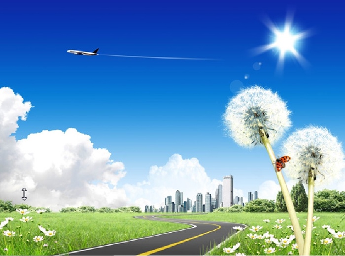 蓝天小路蒲公英背景墙