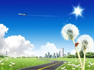 蓝天小路蒲公英背景墙