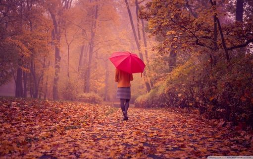 伤感唯美背影图片