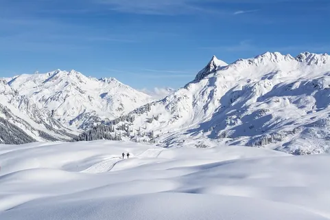 冬天白色背景风景 冬天白色背景风景