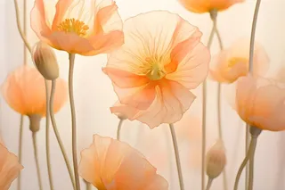 鲜花粉色唯美意境摄影