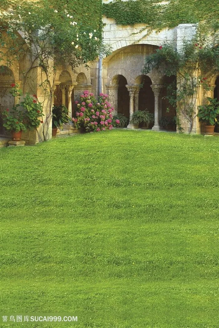 草地田园风光背景