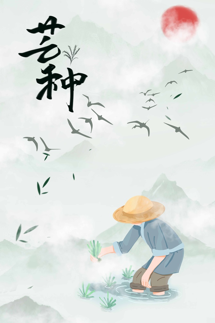 芒种 芒种活动物料