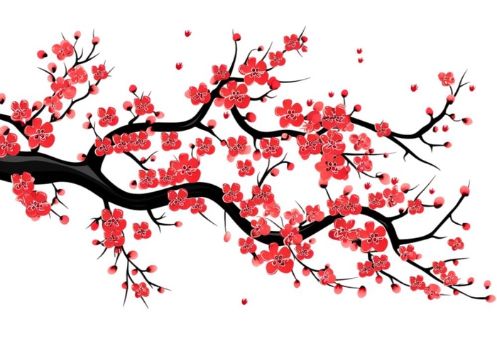 梅花盛开绘图元素(1312x896)