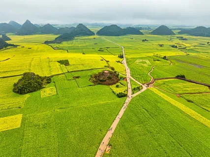 航拍罗平油菜花 航拍罗平油菜花