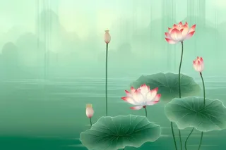 简约大气意境绿色荷花背景