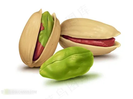 高清开心果图片下载