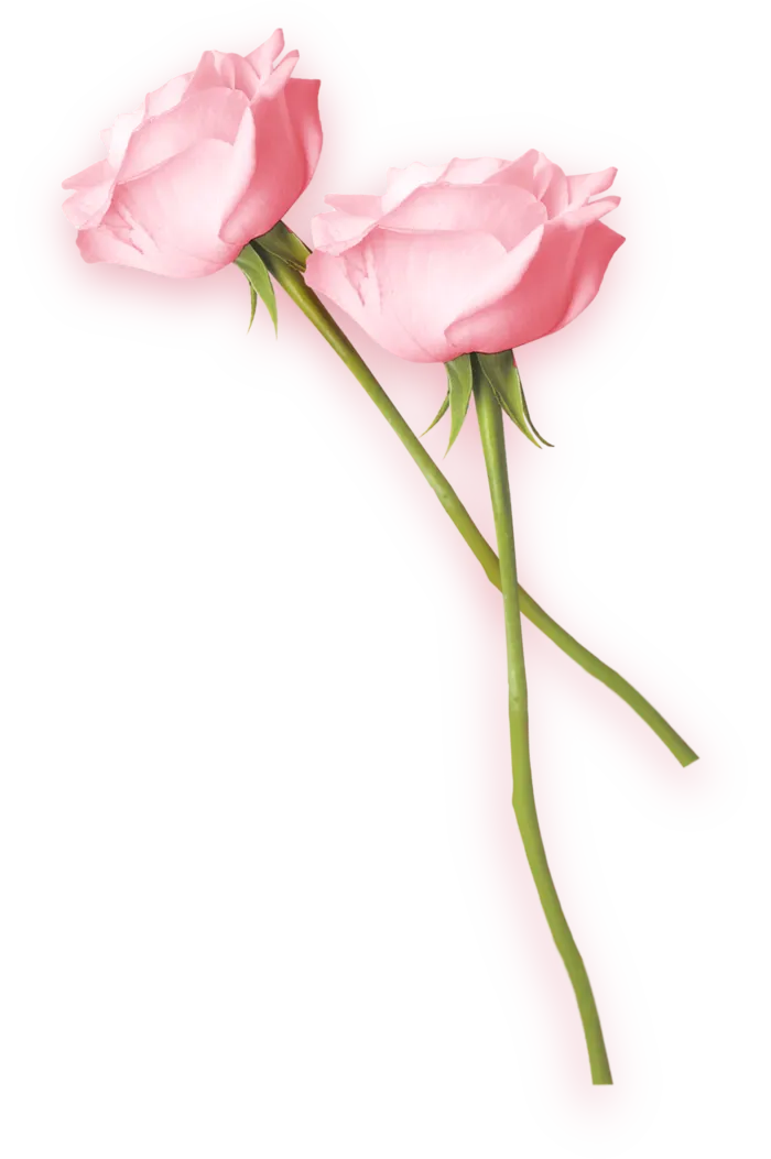 鲜花玫瑰免扣素材