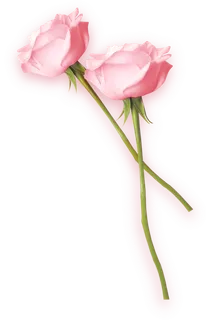 鲜花玫瑰免扣素材