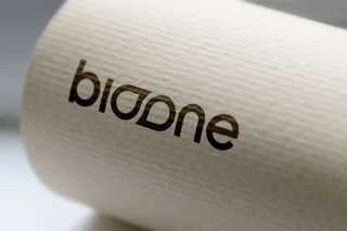 LOGO展示效果样机