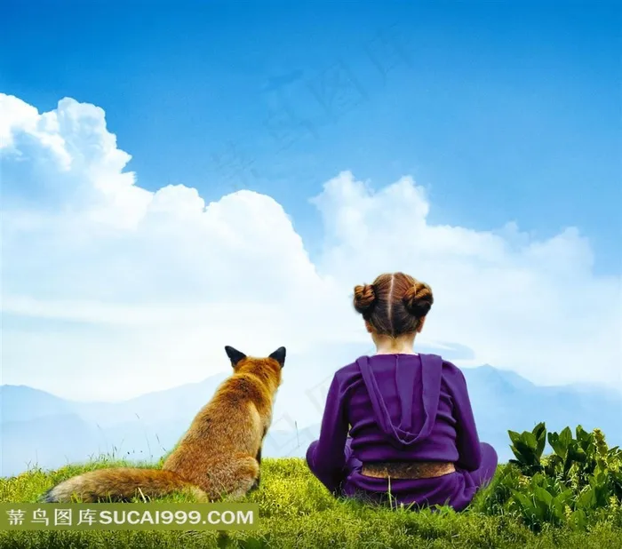 坐在草地上远望的狐狸和小女孩电影海报